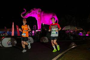 BIB: 
                            <button type="button" onclick="openModal(26543062)" class="btn btn-primary btn-sm float-right btn-popup" data-toggle="modal" data-target=".modal-high-quality">
                        <i class="fas fa-shopping-cart"></i> Add to Cart
                    </button>
                                            <button type="button" onclick="isThisMe(26543062, true)" class="btn btn-success btn-sm float-right btn-popup btn-isme hidden" data-toggle="tooltip" data-placement="bottom" title="นี่คือรูปของคุณใช่ไหม คลิกที่นี่เพื่อเอาเข้าอัลบั้ม">
                        <i class="fas fa-plus"></i> Add to album
                    </button>
                    <button type="button" onclick="isThisMe(26543062, false)" class="btn btn-warning btn-sm float-right btn-popup btn-isnotme hidden">
                        <i class="fas fa-ban"></i> Remove from album
                    </button>